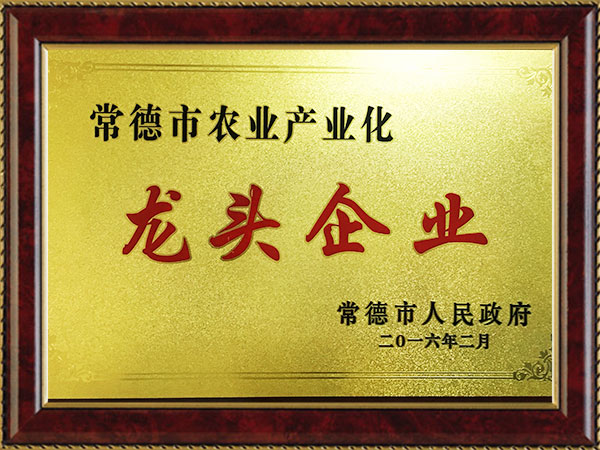 2016龍頭企業(yè)