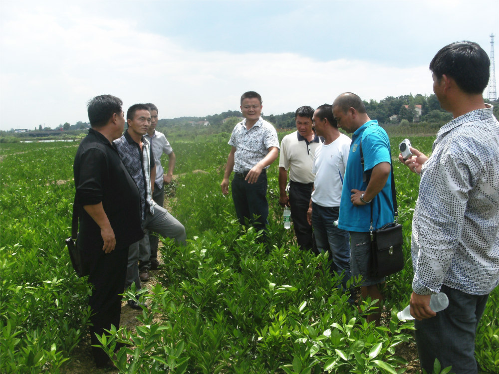 云南農大教授、玉溪市經作站站長一行前來公司考察交流