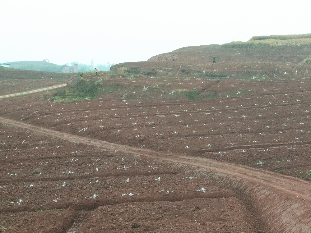懷化市績效辦到市林業局督導