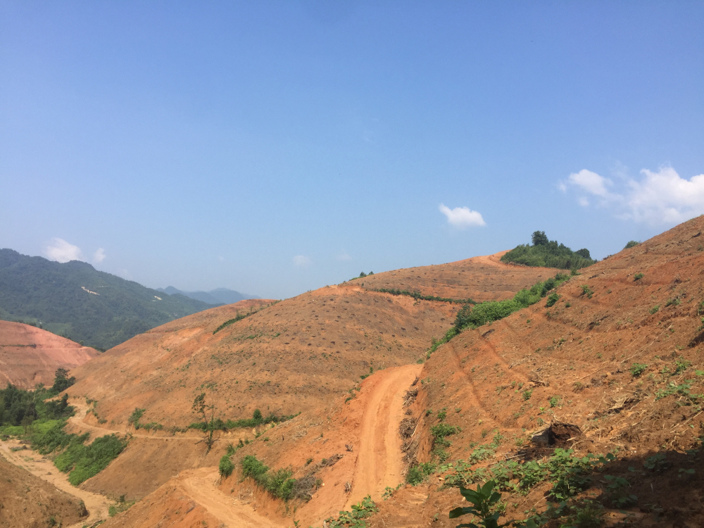 堅持嚴(yán)格的耕地保護制度和嚴(yán)格的節(jié)約用地制度