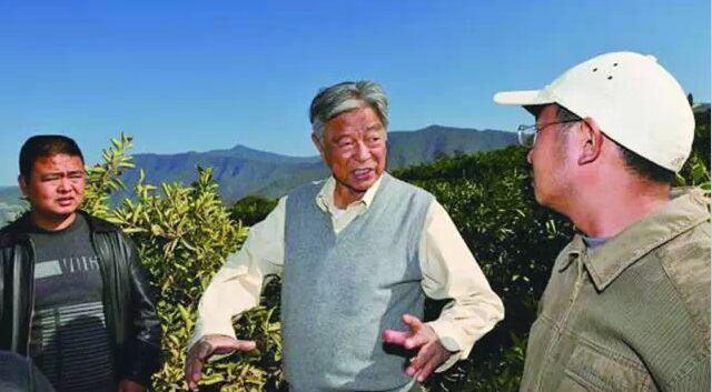 黃鐵鷹：褚橙對我震動最大，互聯(lián)網(wǎng)不能讓二流變一流