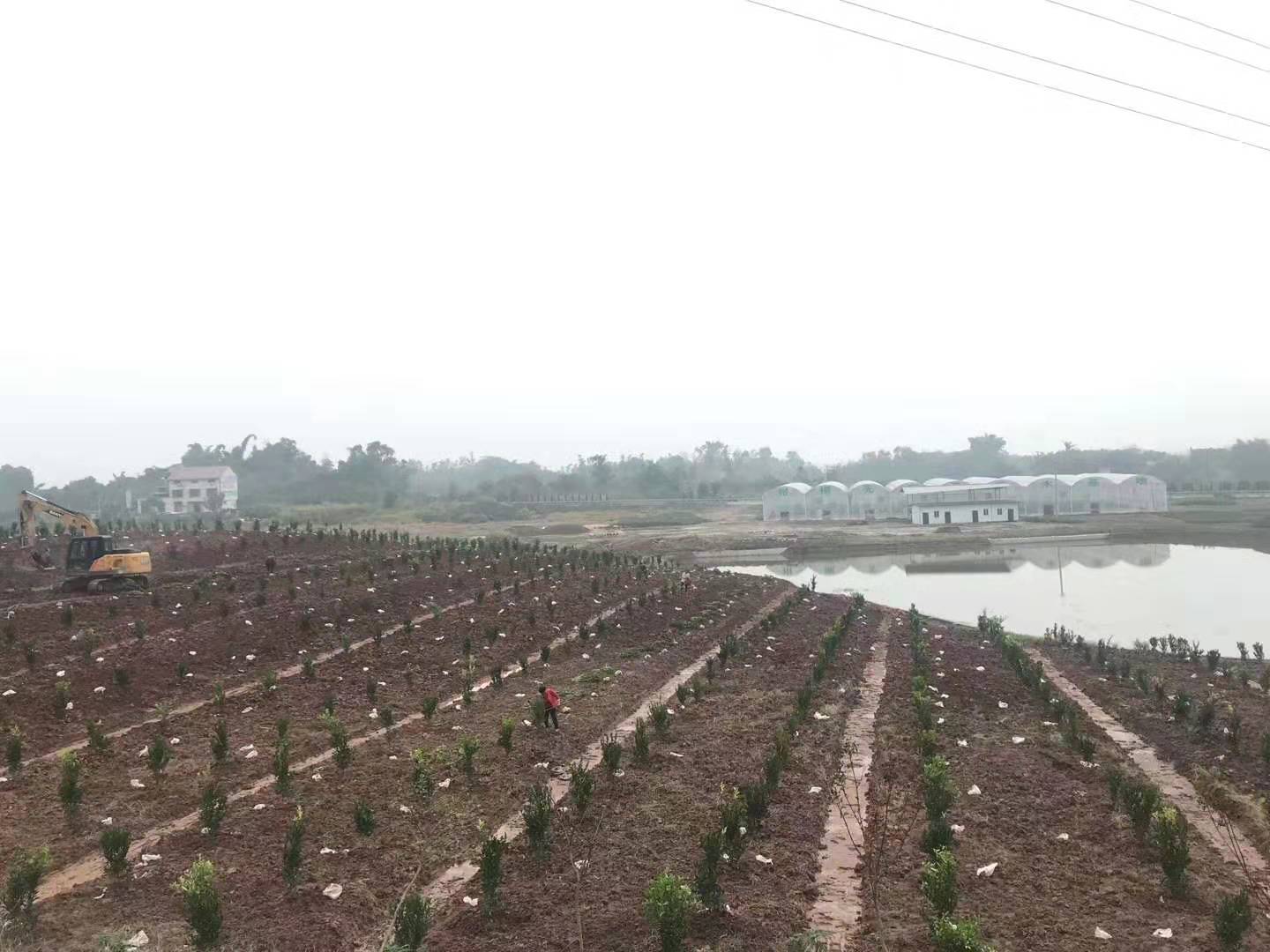 隆昌樹人公司優(yōu)質(zhì)柑橘產(chǎn)業(yè)基地順利通過驗收