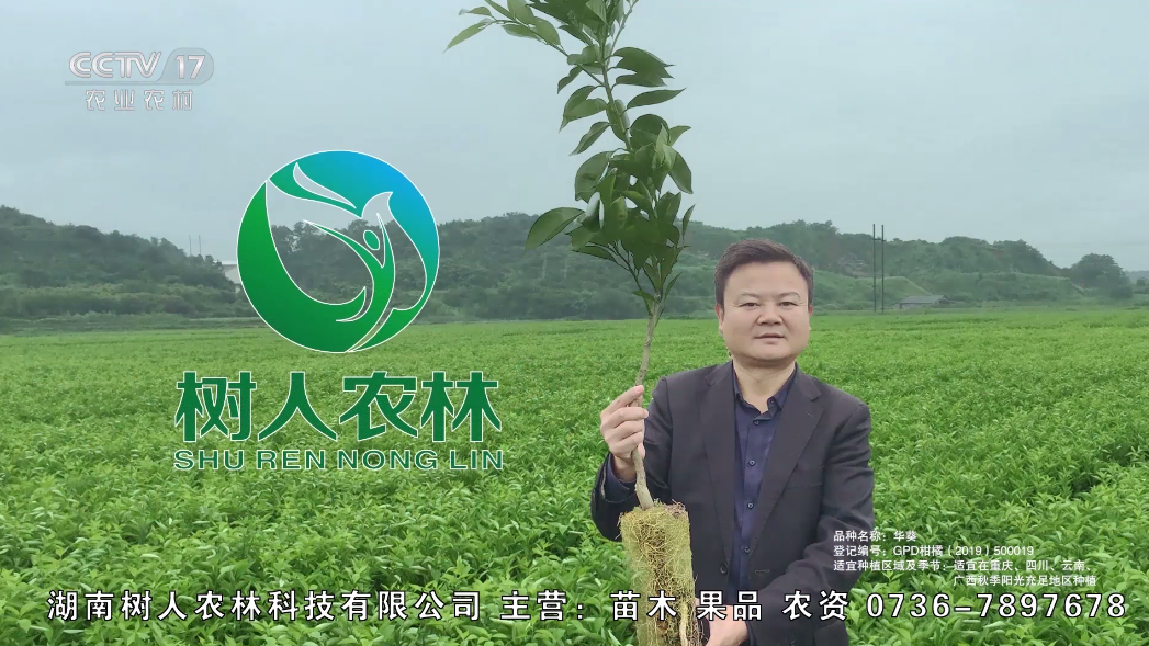 慶祝樹人農(nóng)林榮登CCTV 苗木促銷惠農(nóng)助農(nóng)活動(dòng)
