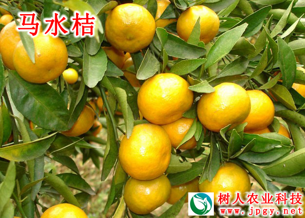 特種栽培技術(shù)