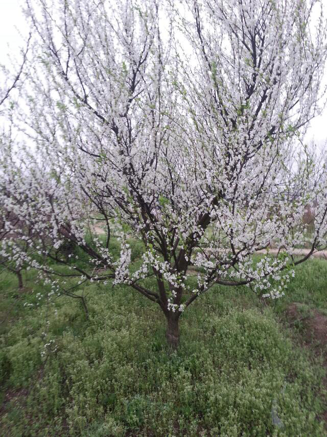 常德市萬(wàn)路達(dá)物流股份有限公司,常德危險(xiǎn)品運(yùn)輸服務(wù),普貨運(yùn)輸服務(wù),物流生活服務(wù)哪里好