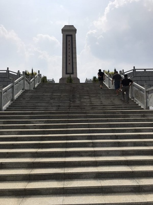 彩色油菜花的研究與開發推廣