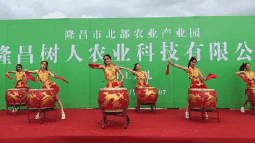 湖南樹(shù)人農(nóng)林科技有限公司,湖南柑橘品種銷售,中國(guó)果樹(shù)網(wǎng),常綠果樹(shù)類哪里好