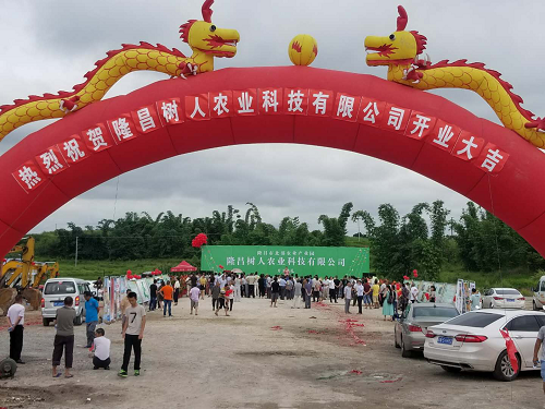 湖南樹(shù)人農(nóng)林科技有限公司,湖南柑橘品種銷售,中國(guó)果樹(shù)網(wǎng),常綠果樹(shù)類哪里好