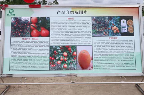 湖南樹(shù)人農(nóng)林科技有限公司,湖南柑橘品種銷售,中國(guó)果樹(shù)網(wǎng),常綠果樹(shù)類哪里好