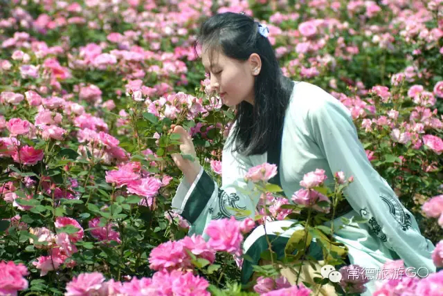 湖南樹人農(nóng)林科技有限公司,湖南柑橘品種銷售,中國果樹網(wǎng),常綠果樹類哪里好