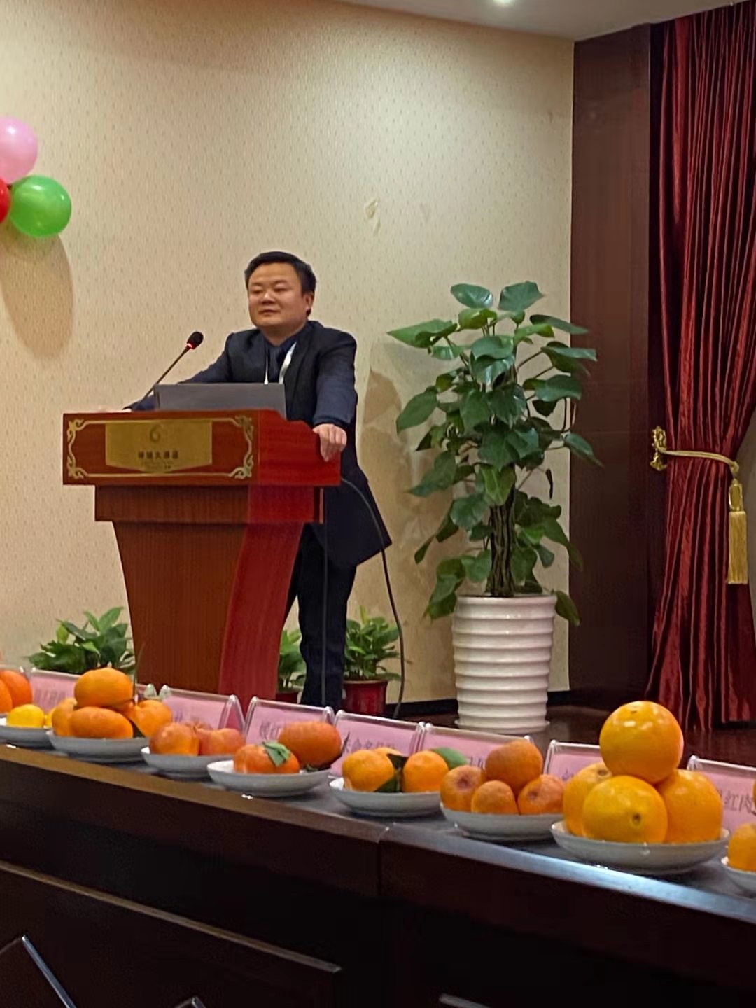 湖南樹人農林科技有限公司,湖南柑橘品種銷售,中國果樹網,常綠果樹類哪里好