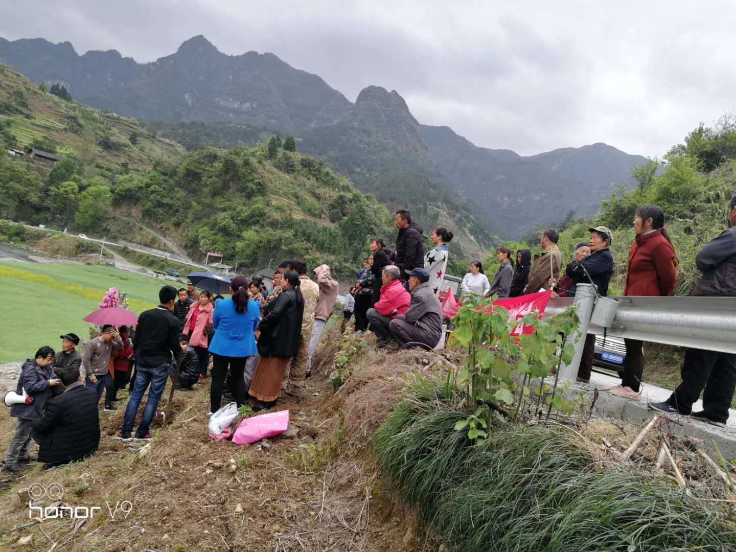 湖南樹(shù)人農(nóng)林科技有限公司,湖南柑橘品種銷售,中國(guó)果樹(shù)網(wǎng),常綠果樹(shù)類哪里好