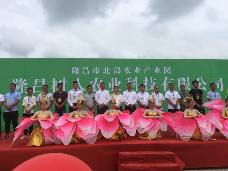 湖南樹(shù)人農(nóng)林科技有限公司,湖南柑橘品種銷(xiāo)售,中國(guó)果樹(shù)網(wǎng),常綠果樹(shù)類(lèi)哪里好