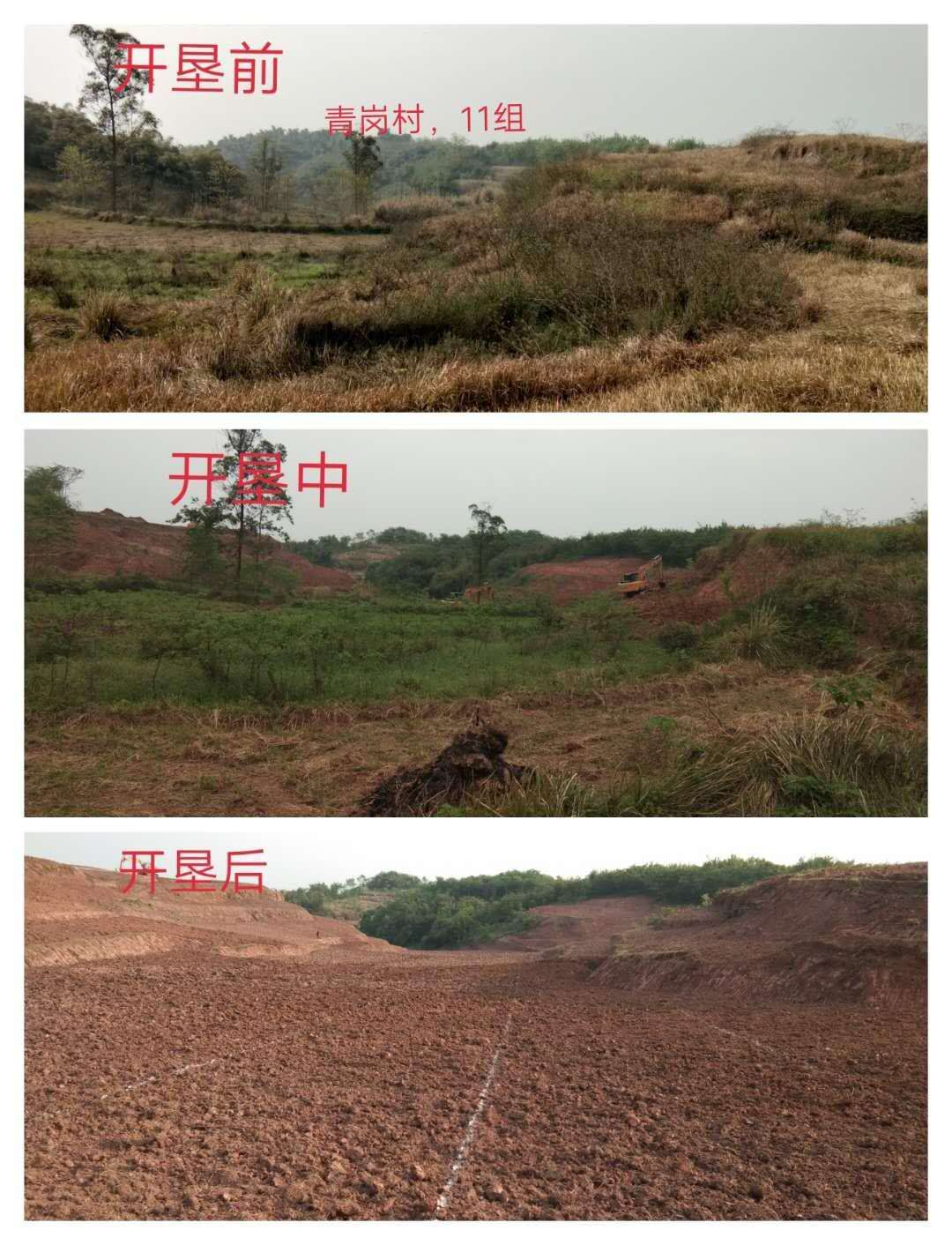 湖南樹(shù)人農(nóng)林科技有限公司,湖南柑橘品種銷(xiāo)售,中國(guó)果樹(shù)網(wǎng),常綠果樹(shù)類(lèi)哪里好