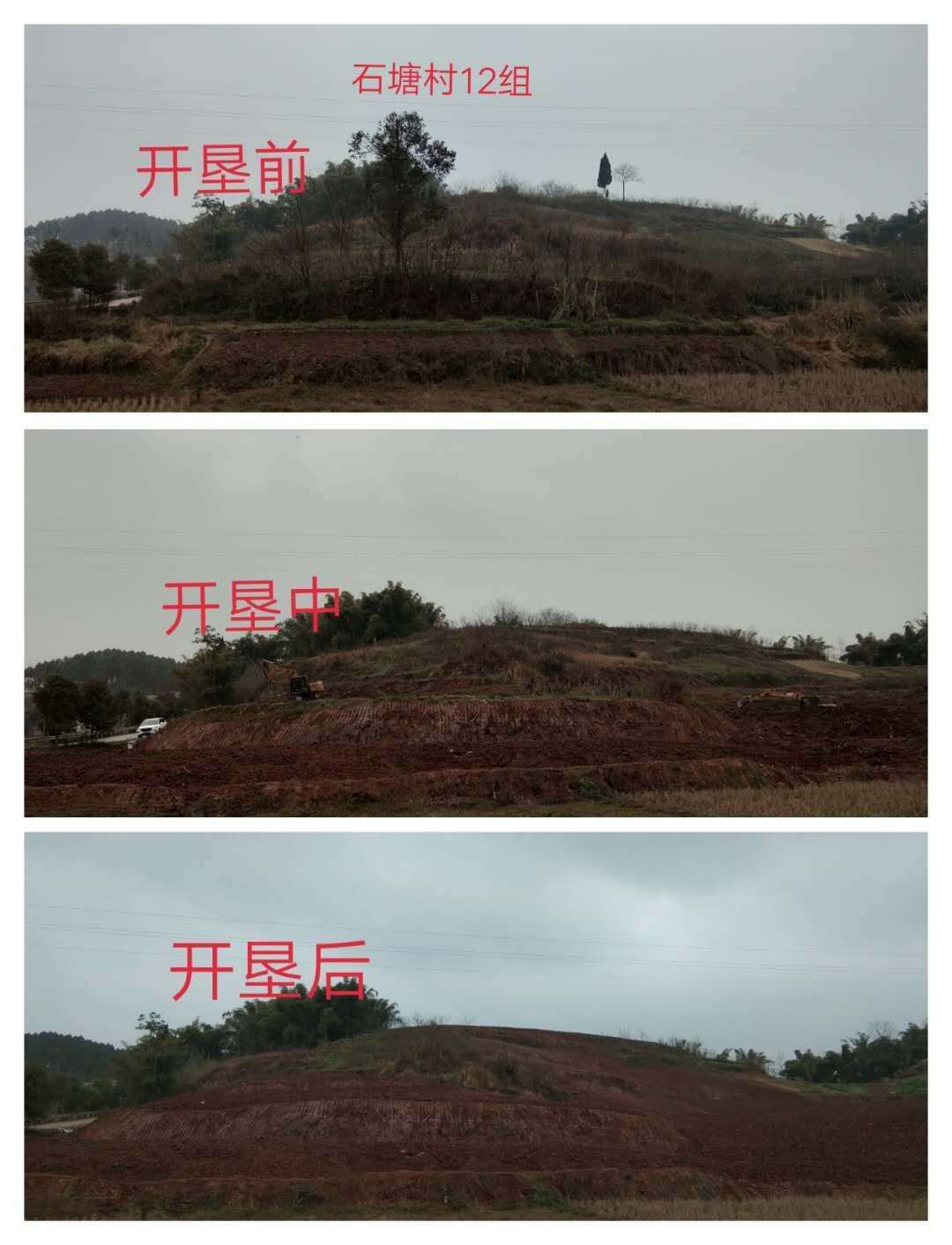 湖南樹(shù)人農(nóng)林科技有限公司,湖南柑橘品種銷(xiāo)售,中國(guó)果樹(shù)網(wǎng),常綠果樹(shù)類(lèi)哪里好