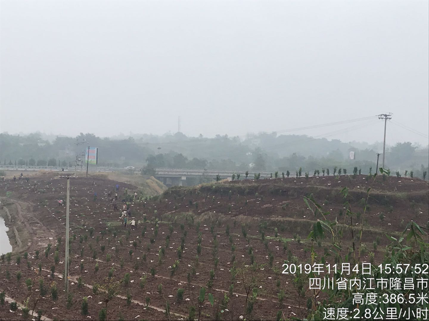 湖南樹(shù)人農(nóng)林科技有限公司,湖南柑橘品種銷(xiāo)售,中國(guó)果樹(shù)網(wǎng),常綠果樹(shù)類(lèi)哪里好