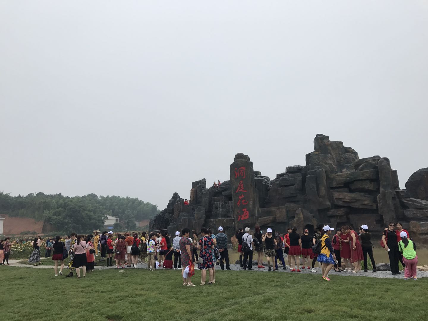 湖南樹(shù)人農(nóng)林科技有限公司,湖南柑橘品種銷(xiāo)售,中國(guó)果樹(shù)網(wǎng),常綠果樹(shù)類(lèi)哪里好