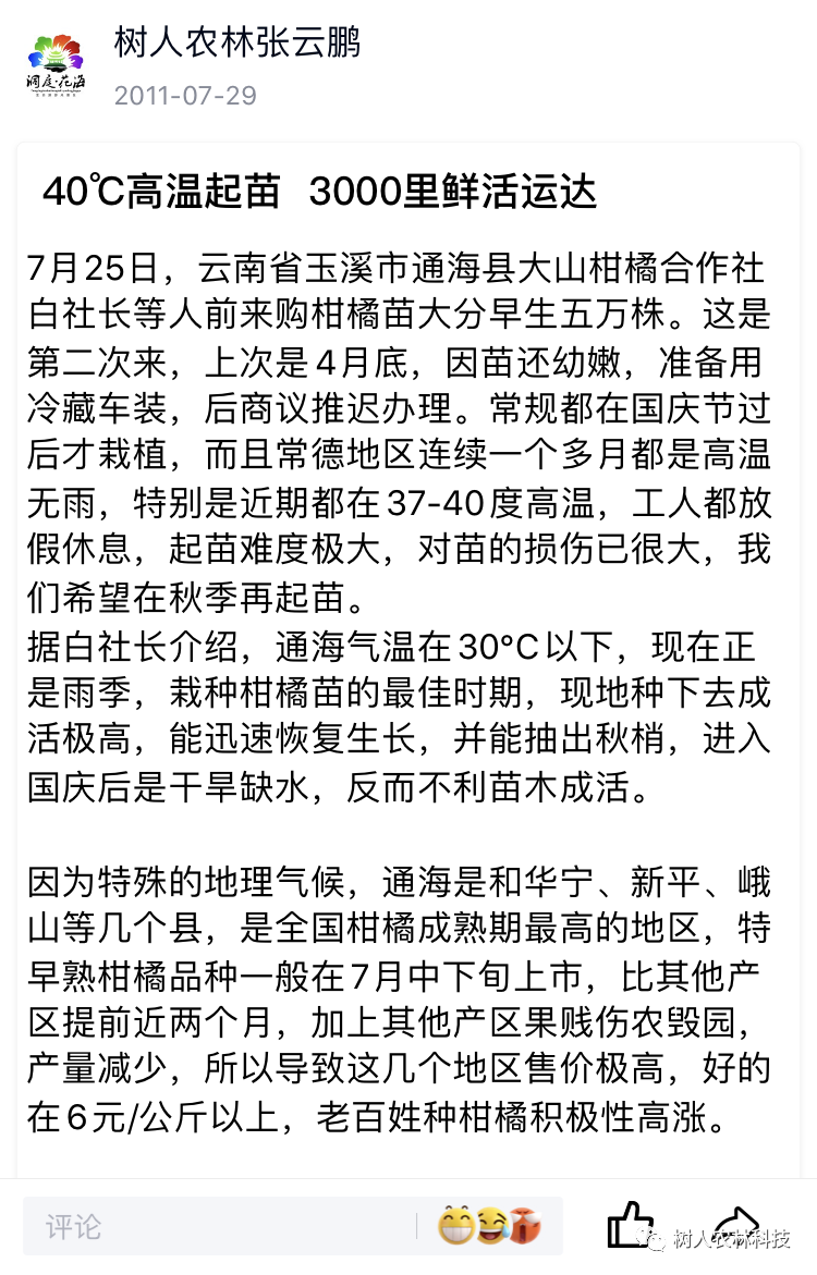 湖南樹人農林科技有限公司,湖南柑橘品種銷售,中國果樹網,常綠果樹類哪里好