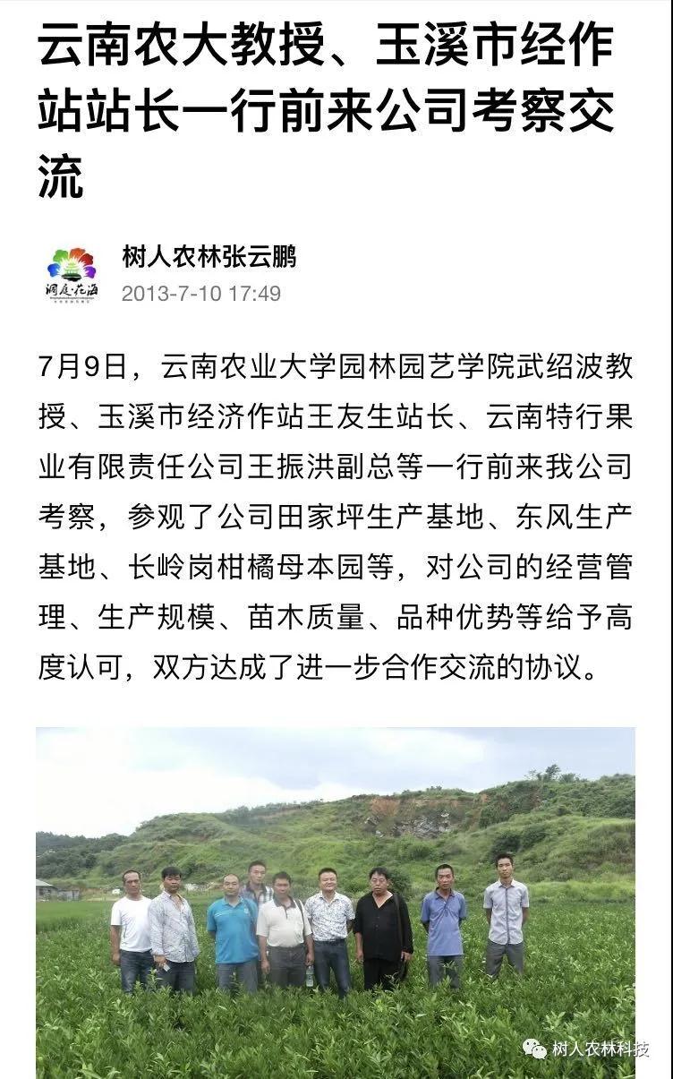 湖南樹人農林科技有限公司,湖南柑橘品種銷售,中國果樹網,常綠果樹類哪里好