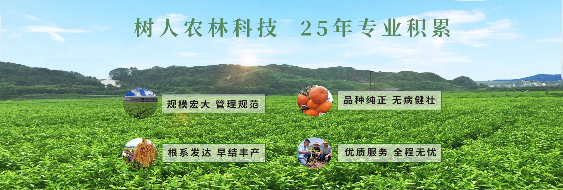 湖南樹(shù)人農(nóng)林科技有限公司_樹(shù)人農(nóng)林丨樹(shù)人農(nóng)業(yè)丨農(nóng)業(yè)科技丨現(xiàn)代農(nóng)業(yè)丨柑橘丨柑橘苗木丨果樹(shù)苗木丨綠化苗木丨種子種苗丨田園綜合體丨鄉(xiāng)村旅游丨觀光休閑等