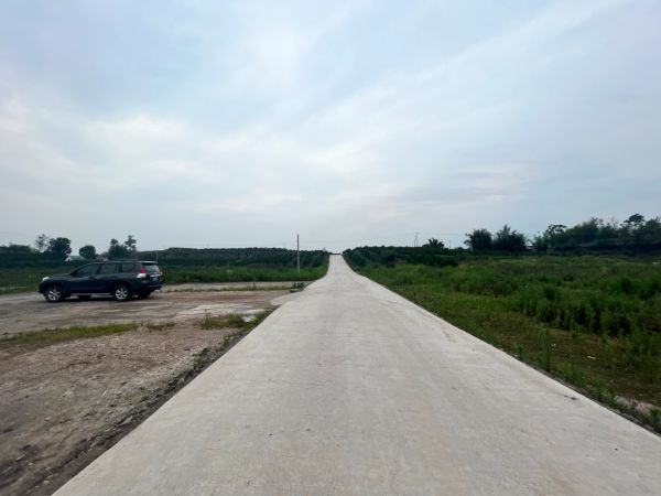 湖南樹人農林科技有限公司,湖南柑橘品種銷售,中國果樹網,常綠果樹類哪里好